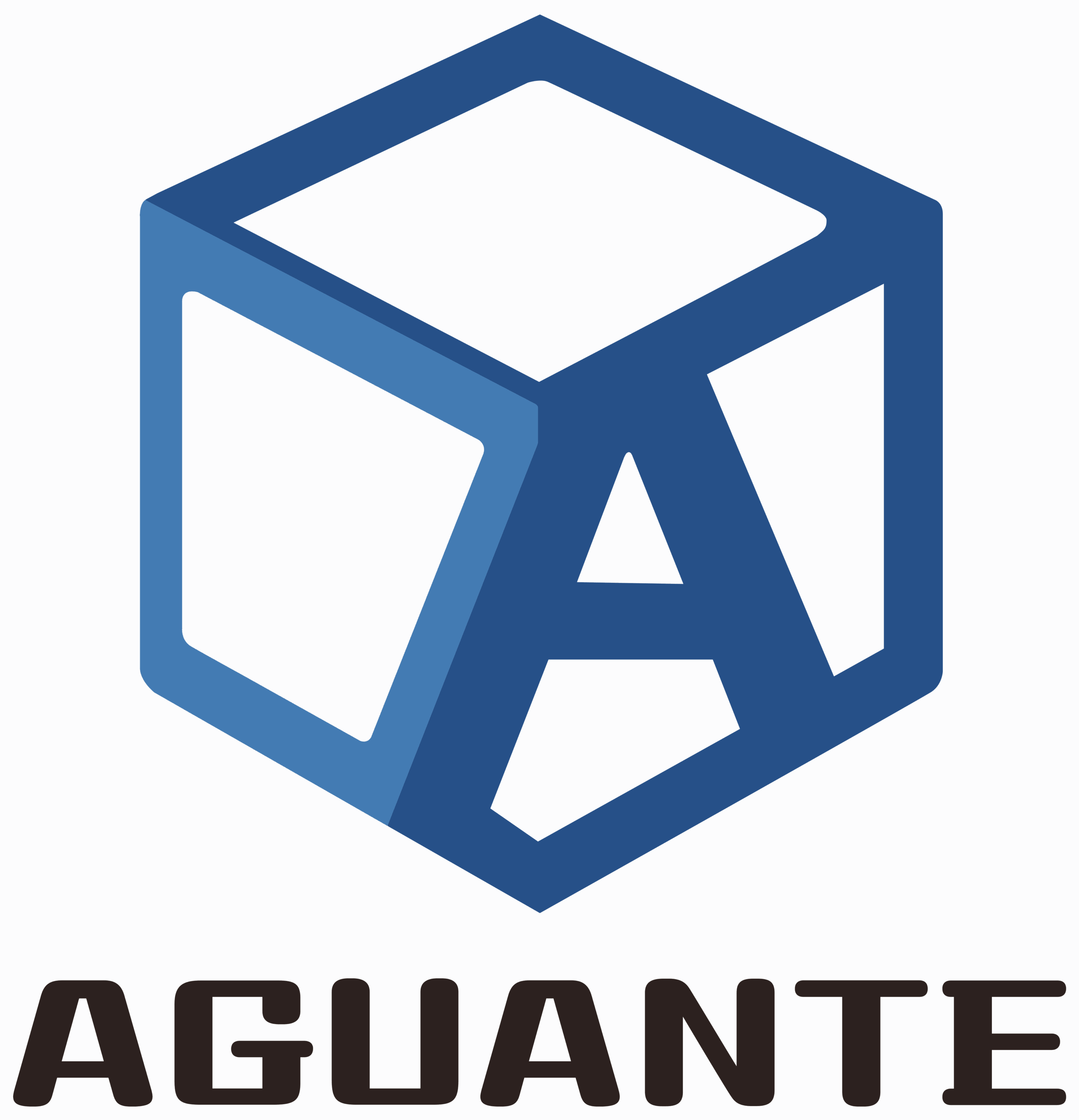 AGUANTE_logo_S
